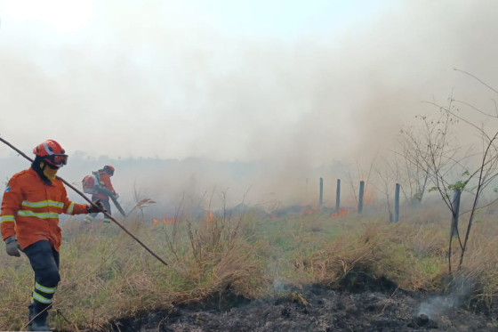 Bombeiros combatem incêndios na região pantaneira