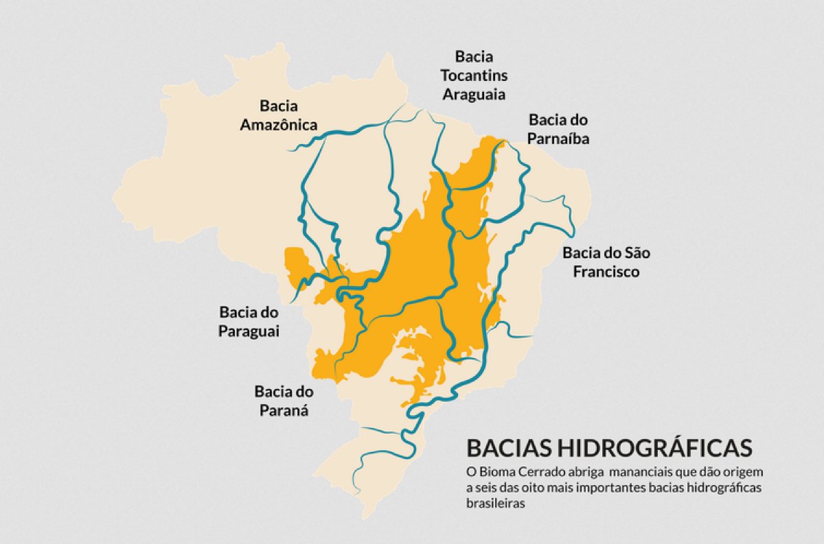 Desmatamento do Cerrado ameaça segurança hídrica de todo o Brasil