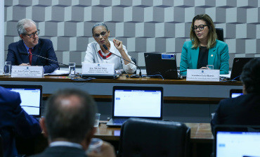 Olhar voltado para a Amazônia ameaça sobrevivência do Cerrado