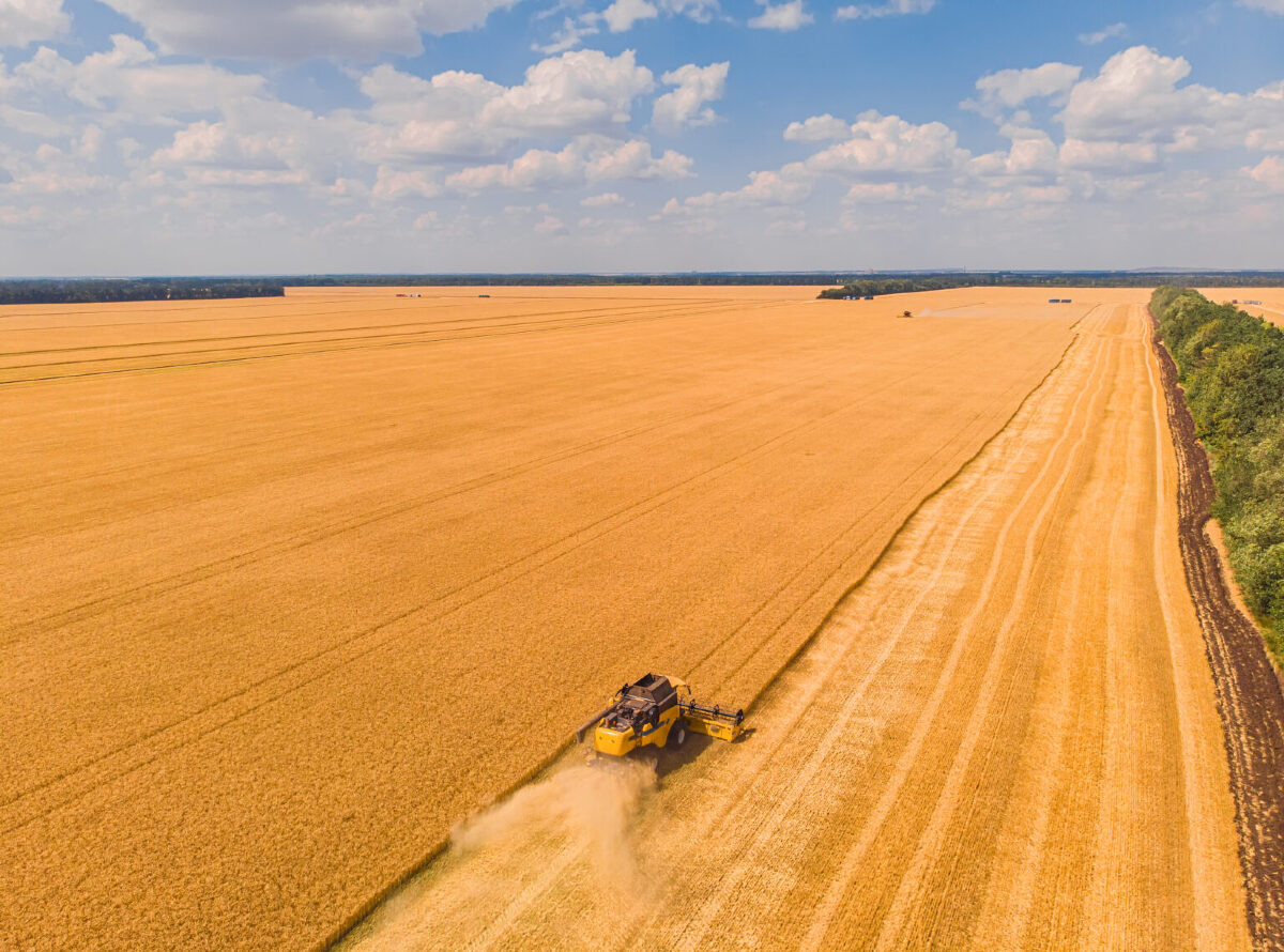 Campo Grande possui o maior valor de Produção Agrícola Municipal entre as capitais brasileiras