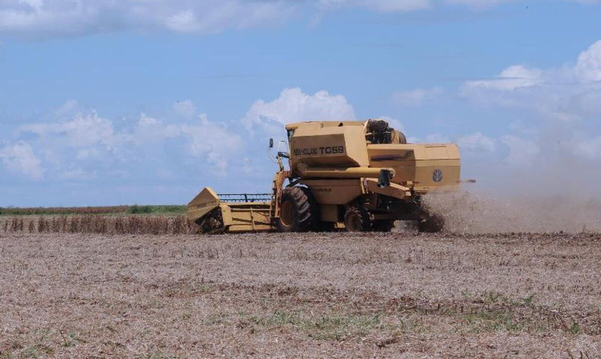 IBGE estima que agosto teve safra agrícola recorde em 2023