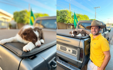 Um homem, um sonho e seu cachorro