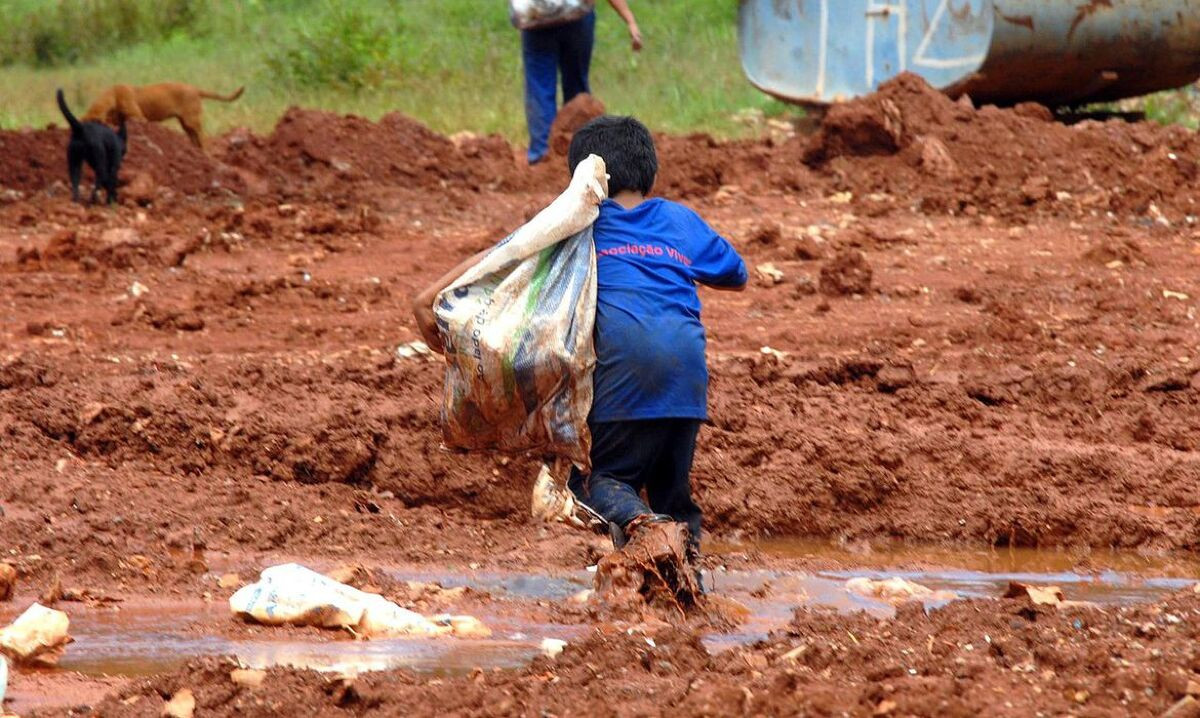 Justi&ccedil;a condena Cargill por contribuir com rede de trabalho infantil