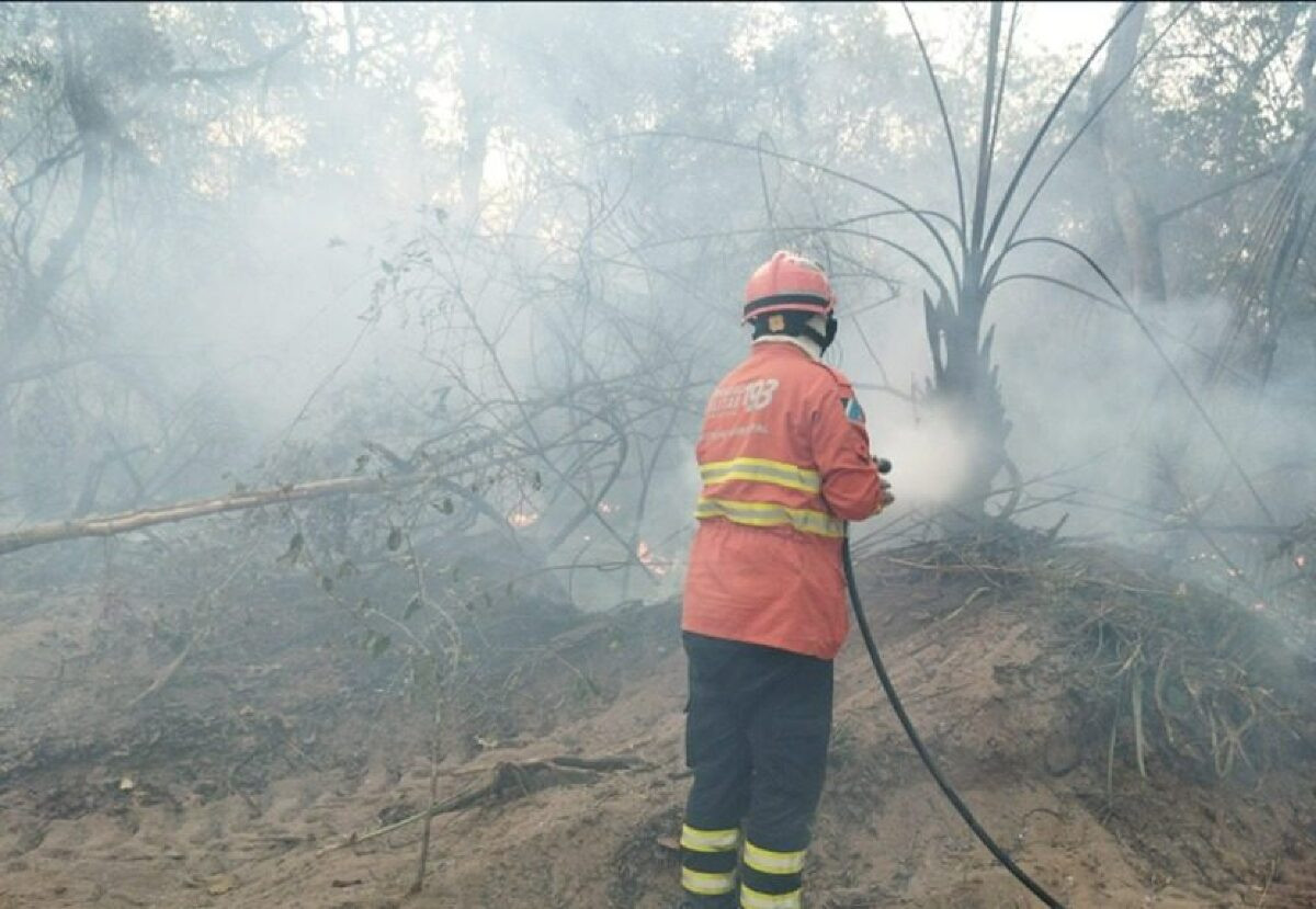 Com calor intenso focos de incêndios no Pantanal estão sendo monitorados