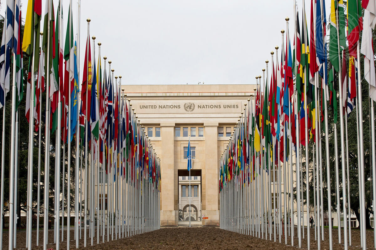 Brasil assume presidência do Conselho de Segurança da ONU