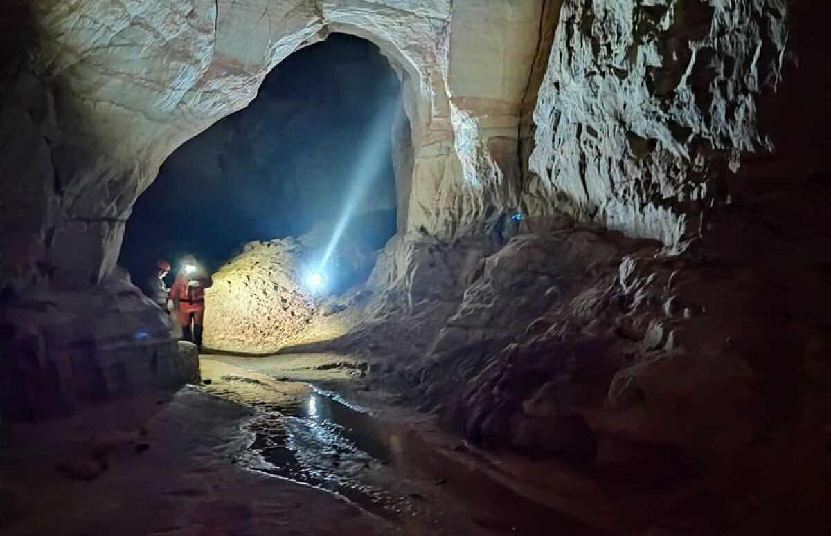 Animal em extinção de 1 mm é encontrado apenas em caverna no Pará