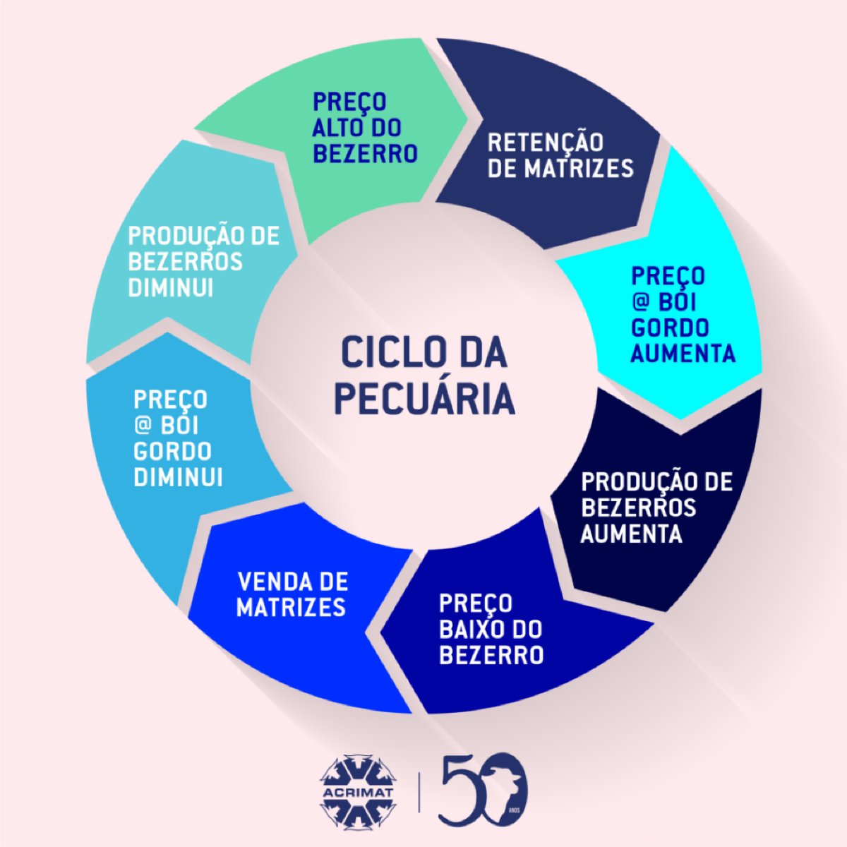 Ciclo pecuário: a oportunidade da “virada”