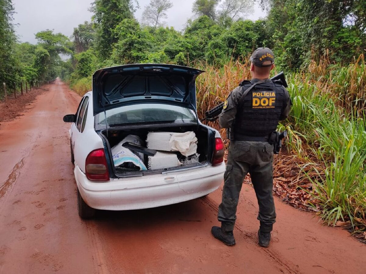 DOF apreende 250 kg de maconha em carro abandonado