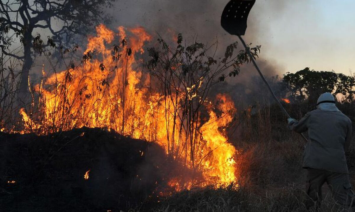 Especialistas defendem medidas para aliviar resultados da seca na Amazônia