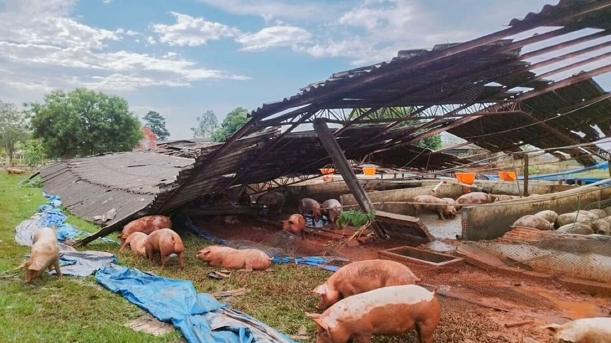 Vendaval atinge o munic&iacute;pio de S&atilde;o Gabriel do Oeste e causa in&uacute;meros estragos