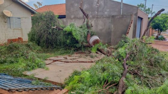 Vendaval atinge o munic&iacute;pio de S&atilde;o Gabriel do Oeste e causa in&uacute;meros estragos