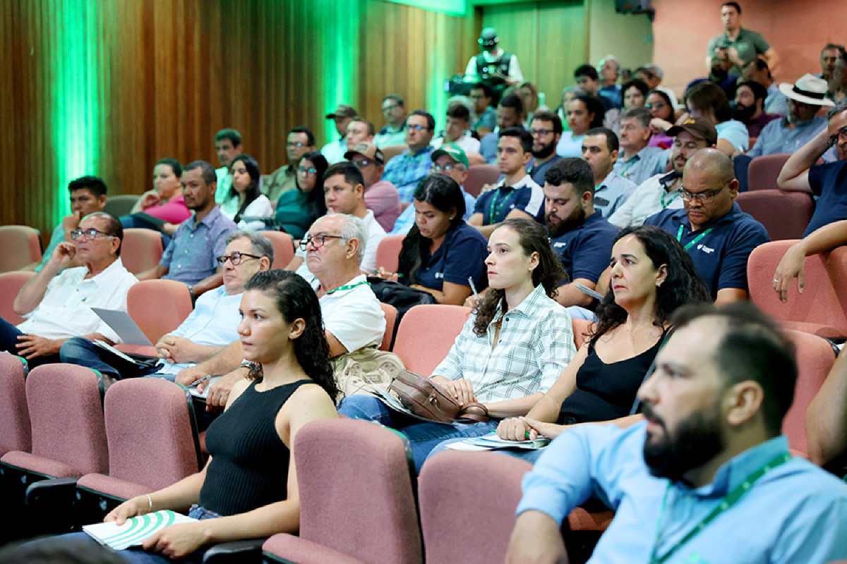 Renda bruta total das propriedades no Mato Grosso do Sul foi de R$ 1,3 bilhões