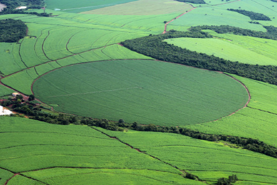 Mapeamento Atualizado da Agricultura Irrigada por Pivôs Centrais no Brasil
