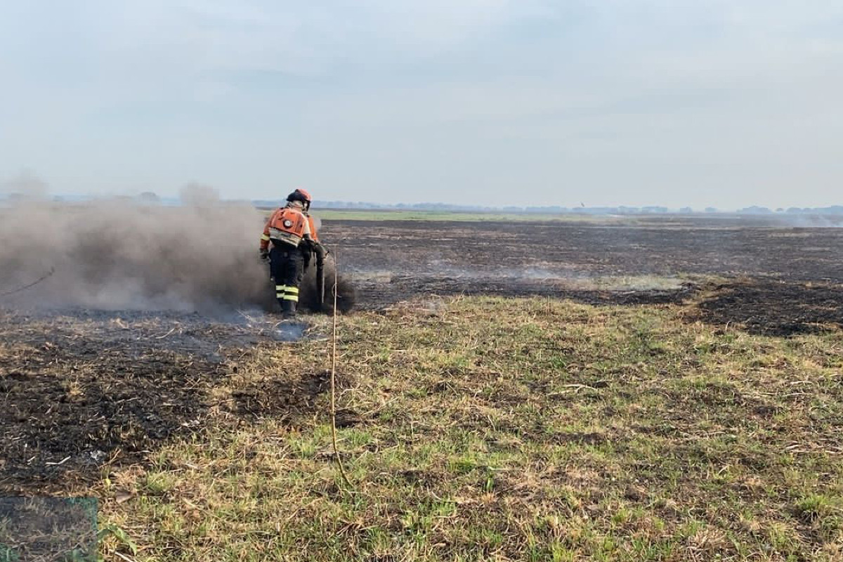 Bombeiros trabalham de forma árdua para controlar incêndios no Pantanal