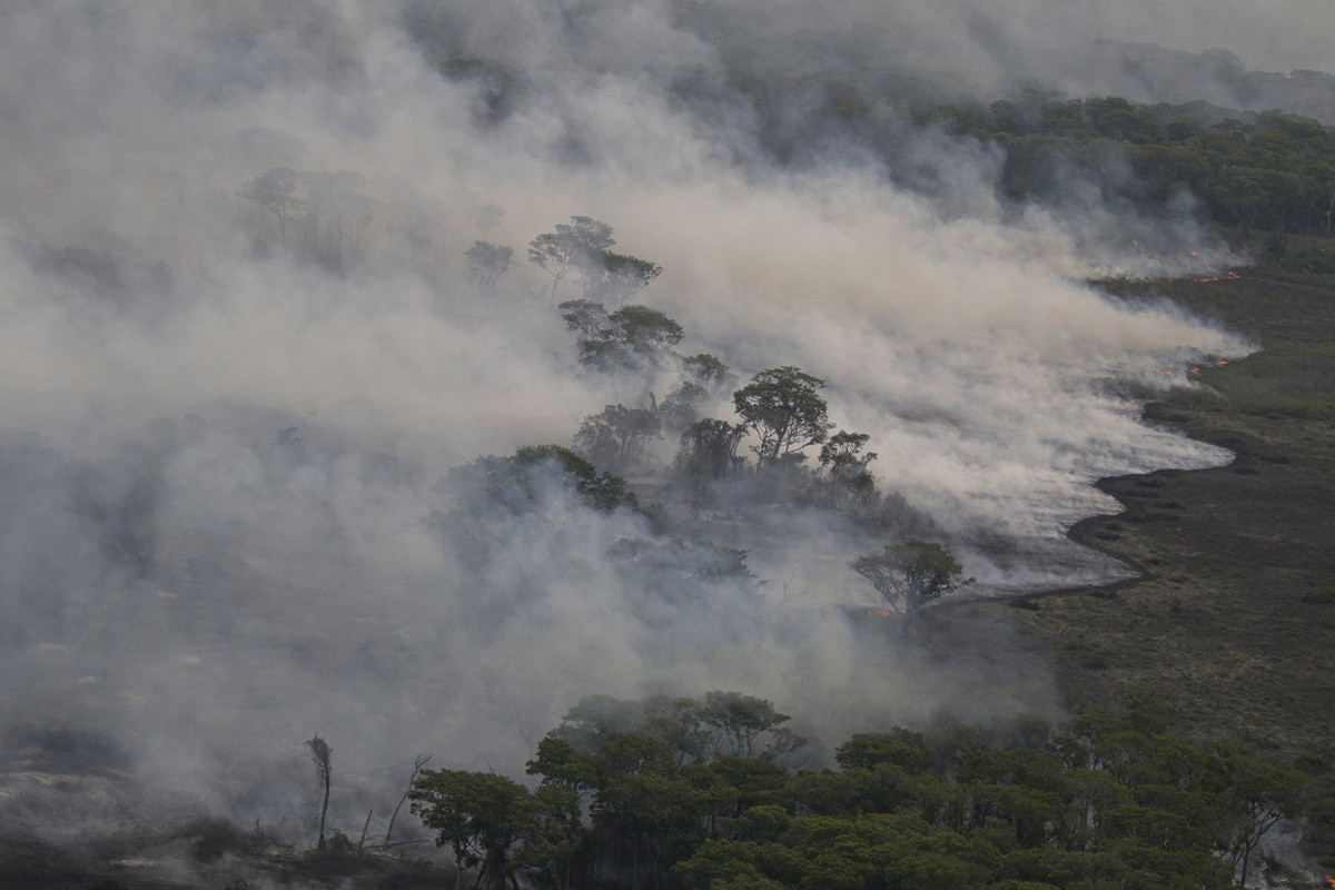 Mato Grosso Do Sul E Mato Grosso Decretam Estado De Emerg Ncia Diante