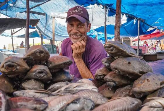 Rio Negro sobe lentamente e pescadores esperam retomar rotina