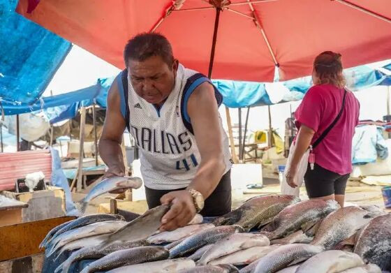 Rio Negro sobe lentamente e pescadores esperam retomar rotina