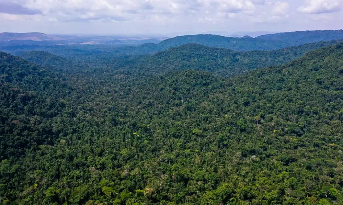 Cumprimento do Acordo de Paris vai além da Amazônia, aponta relatório