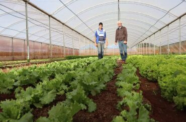 Pesquisas para agricultura familiar será apresentada em um seminário nesta quinta-feira