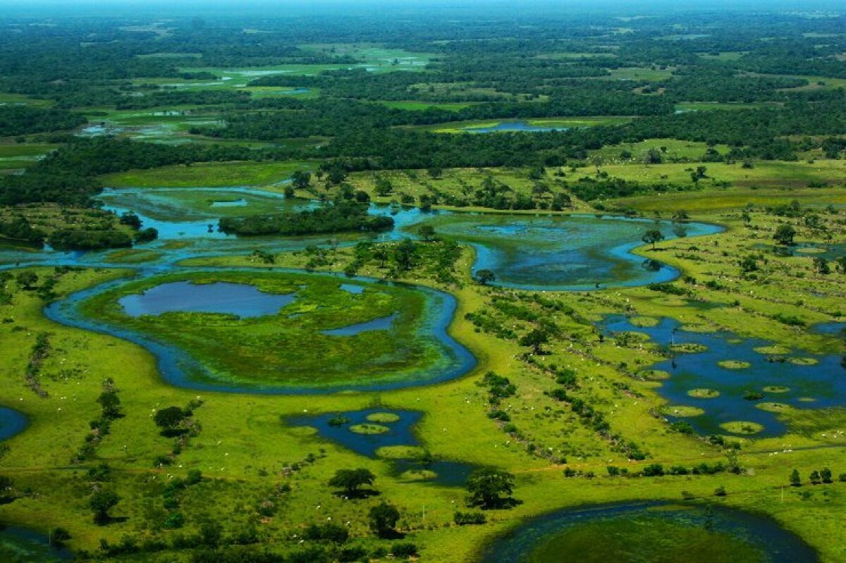 Marcelo Bertoni da Famasul ressalta segurança política presente na Lei do Pantanal