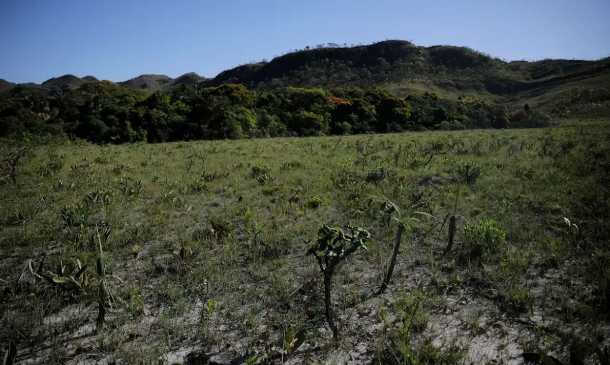 Desmatamento do Cerrado cresce 3% em um ano; área atinge 11 mil km²