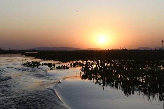 Pantanal de Mato Grosso do Sul