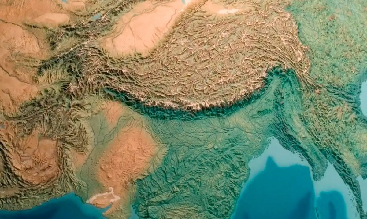 Pampa Sul-Americano perdeu 20% de vegetação campestre, diz MapBiomas