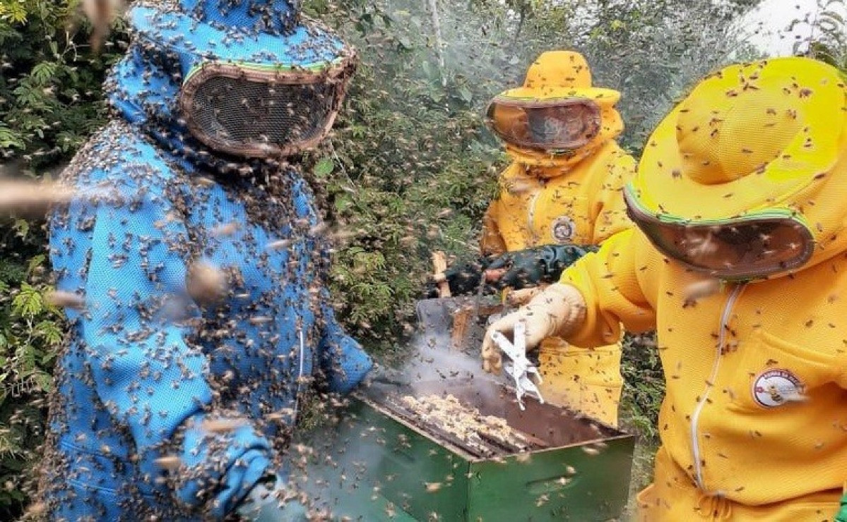 Especialistas alertam para opções oferecidas pelo Sisu - Nacional - Estado  de Minas