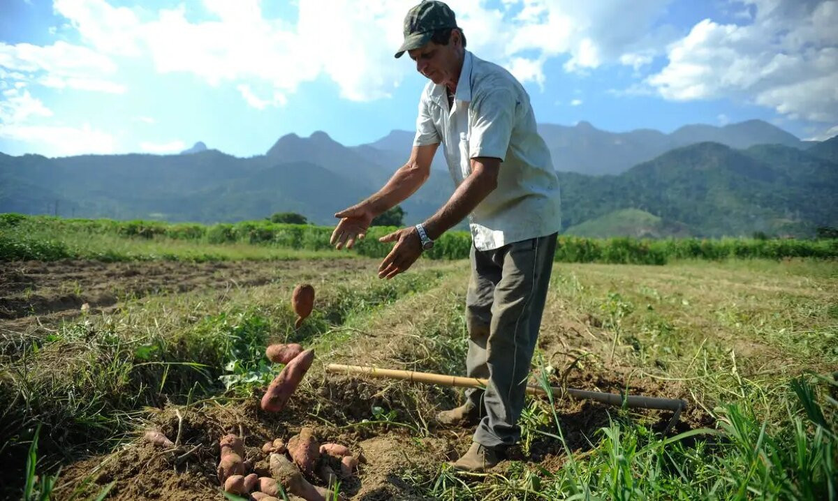 Mesmo com recorde de safra 2022/23, produtores rurais enfrentam menores margens de lucro