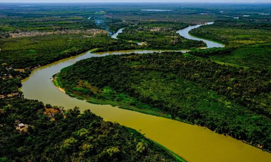 Pantanal