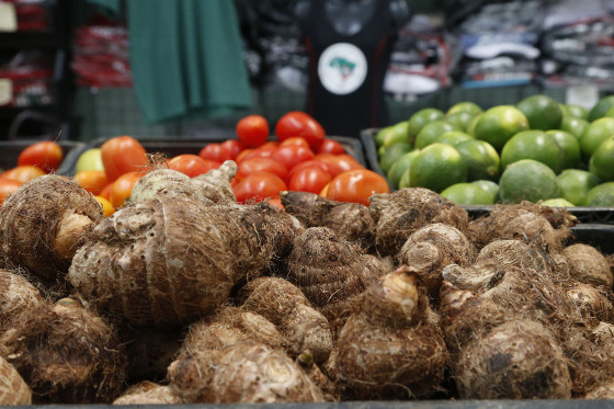 Vendas de produtos orgânicos no país crescem 30%, aponta pesquisa