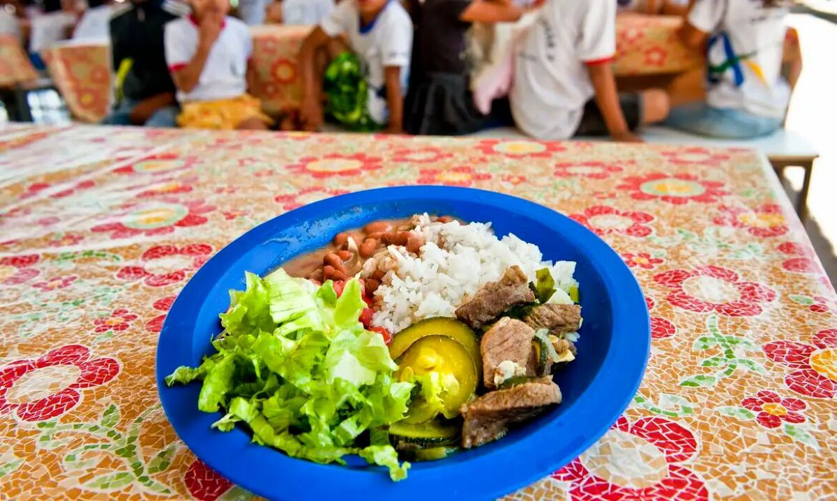 BNDES destina verba do Fundo da Amazônia para merenda escolar