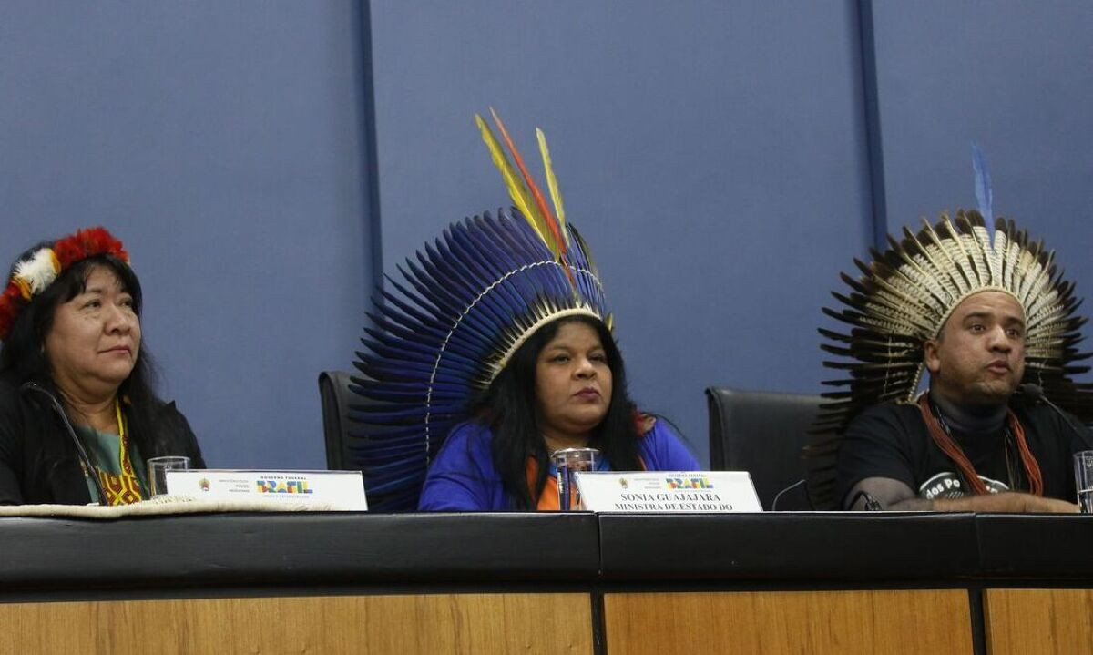 Ministra dos povos ind&iacute;genas, S&ocirc;nia Guajajara