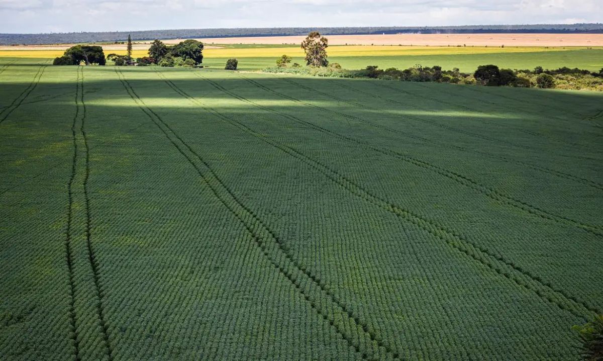 Agricultura vai querer voltar para mercado de carbono, diz Haddad