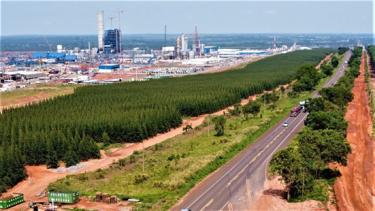 Economia de Mato Grosso do Sul enfrenta desafios para escoar produção agrícola