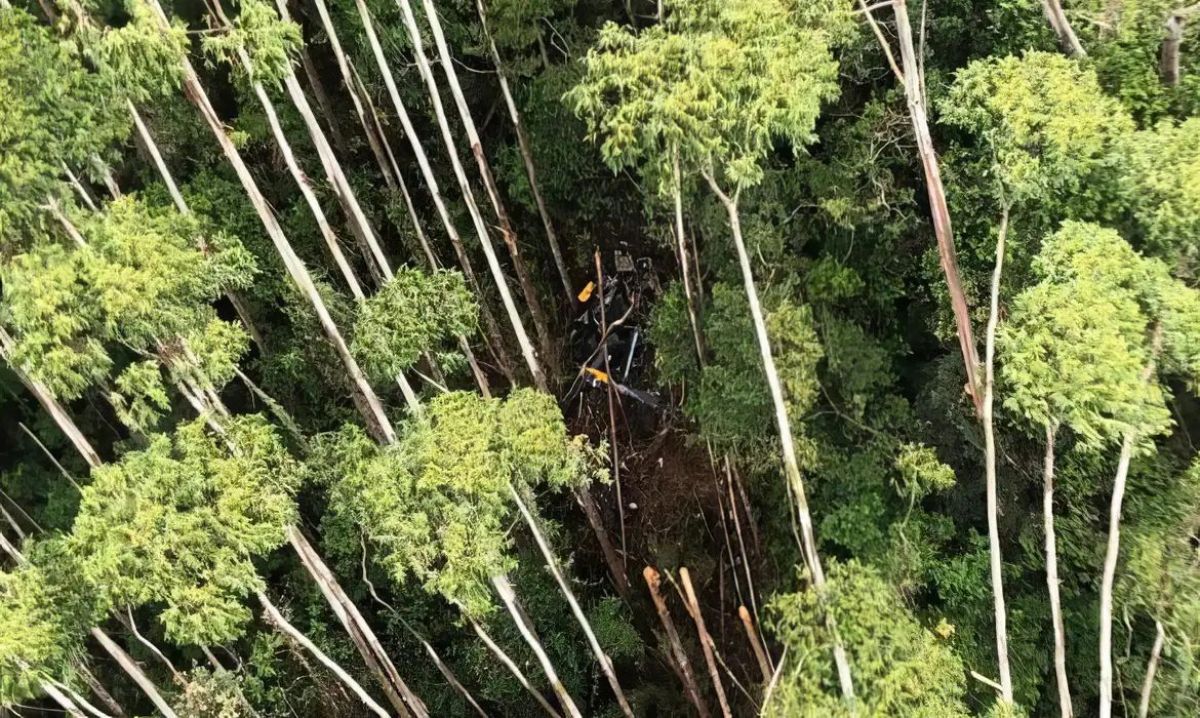 SP: polícias trabalham para abrir caminho até destroços de helicóptero