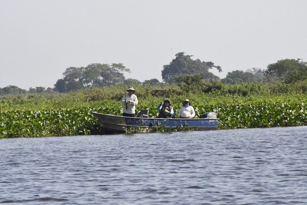 Regimento interno do Conselho Estadual de Pesca é aprovado pelo governo 