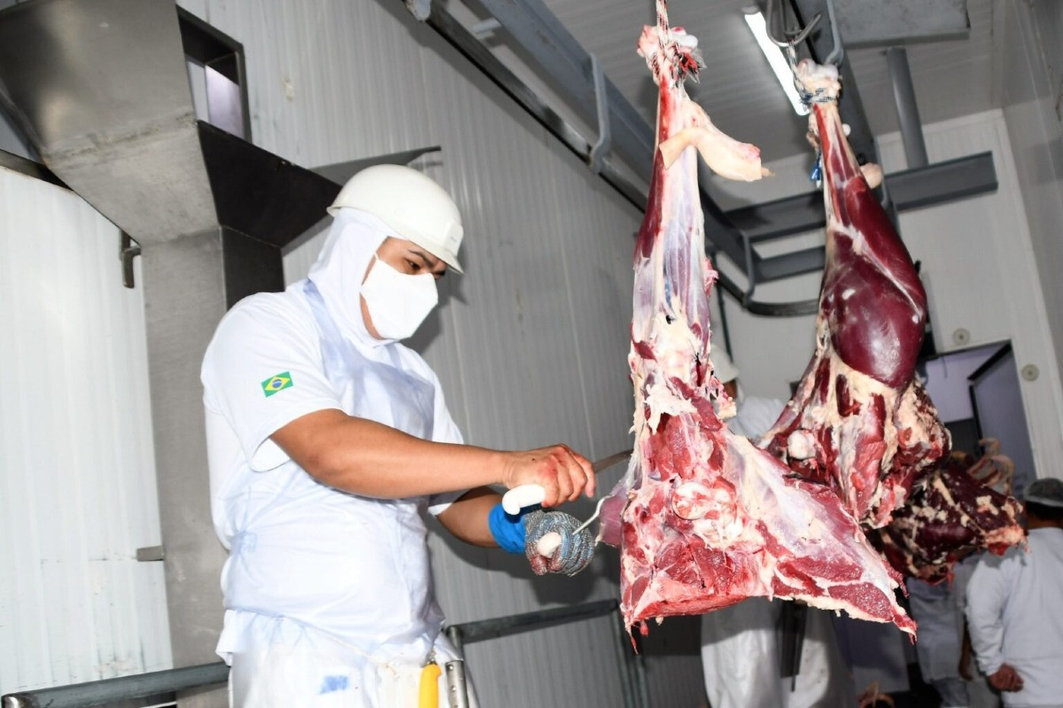 Carne Bovina Exportações