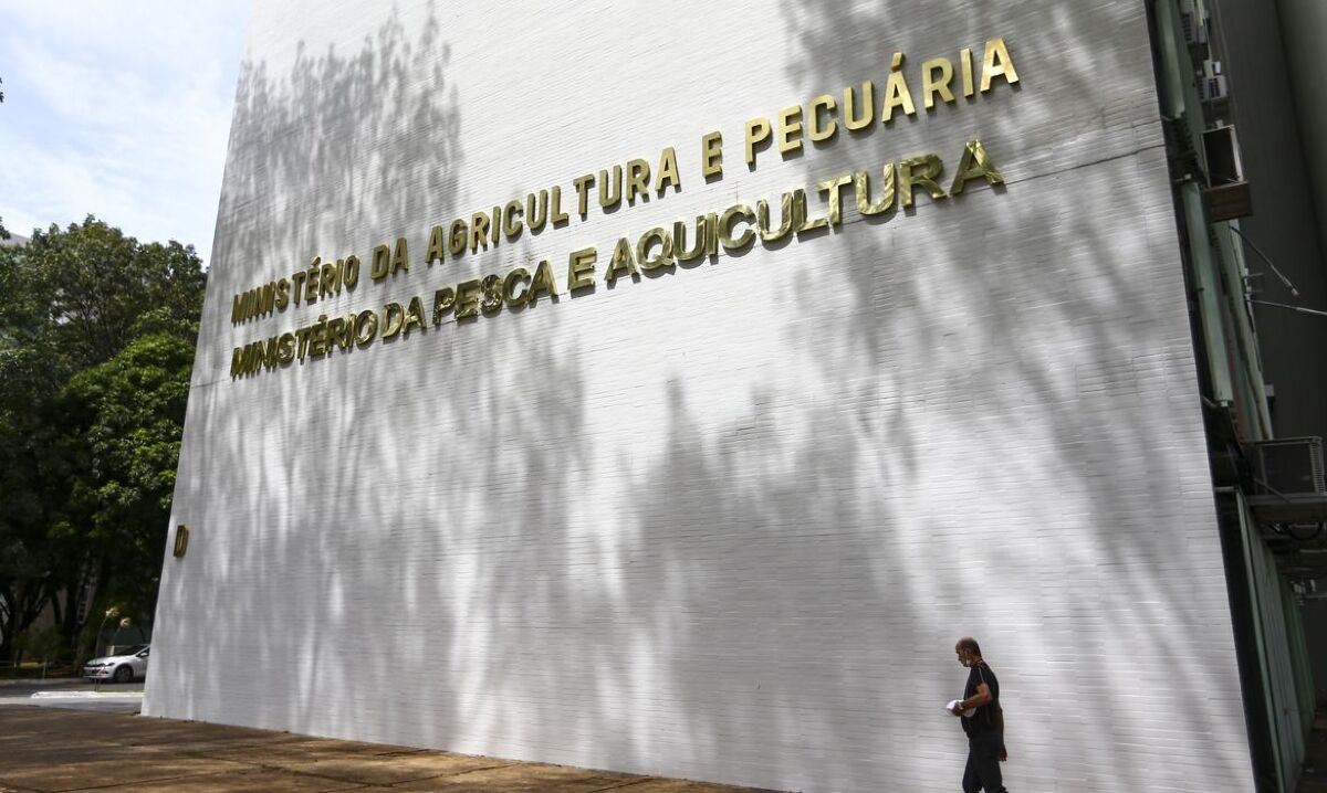 Pr&eacute;dio do Minist&eacute;rio da Agricultura e Pecu&aacute;ria e do Minist&eacute;rio da Pesca e Aquicultura, na Esplanada dos Minist&eacute;rios em Bras&iacute;lia
