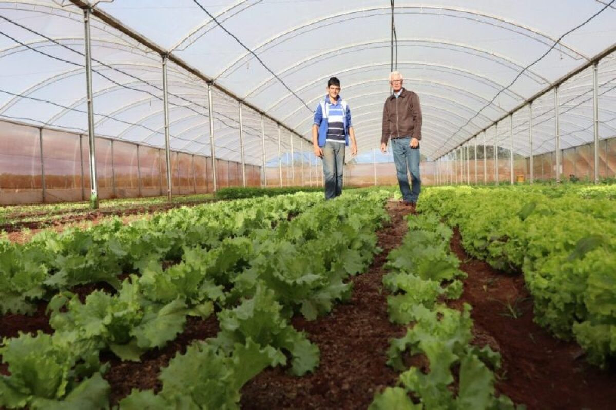 Fundect abre chamada de Extensão Tecnológica voltada a Agricultores Familiares, povos originários e comunidades tradicionais