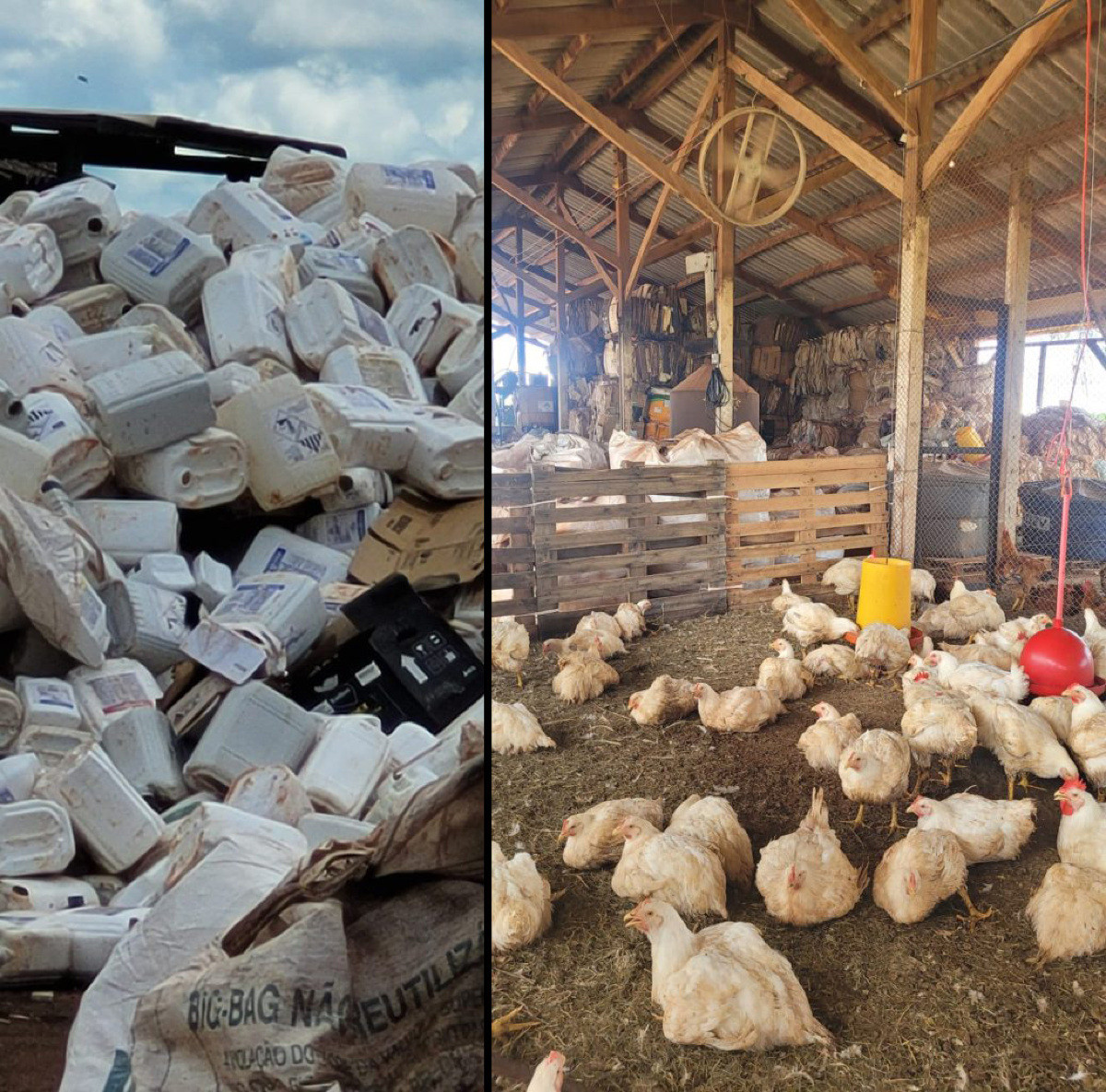 Recicladora clandestina de embalagens é fechada no Mato Grosso do Sul