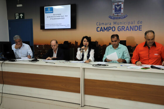 A Audiência foi convocada pela Comissão Permanente de Finanças e Orçamento