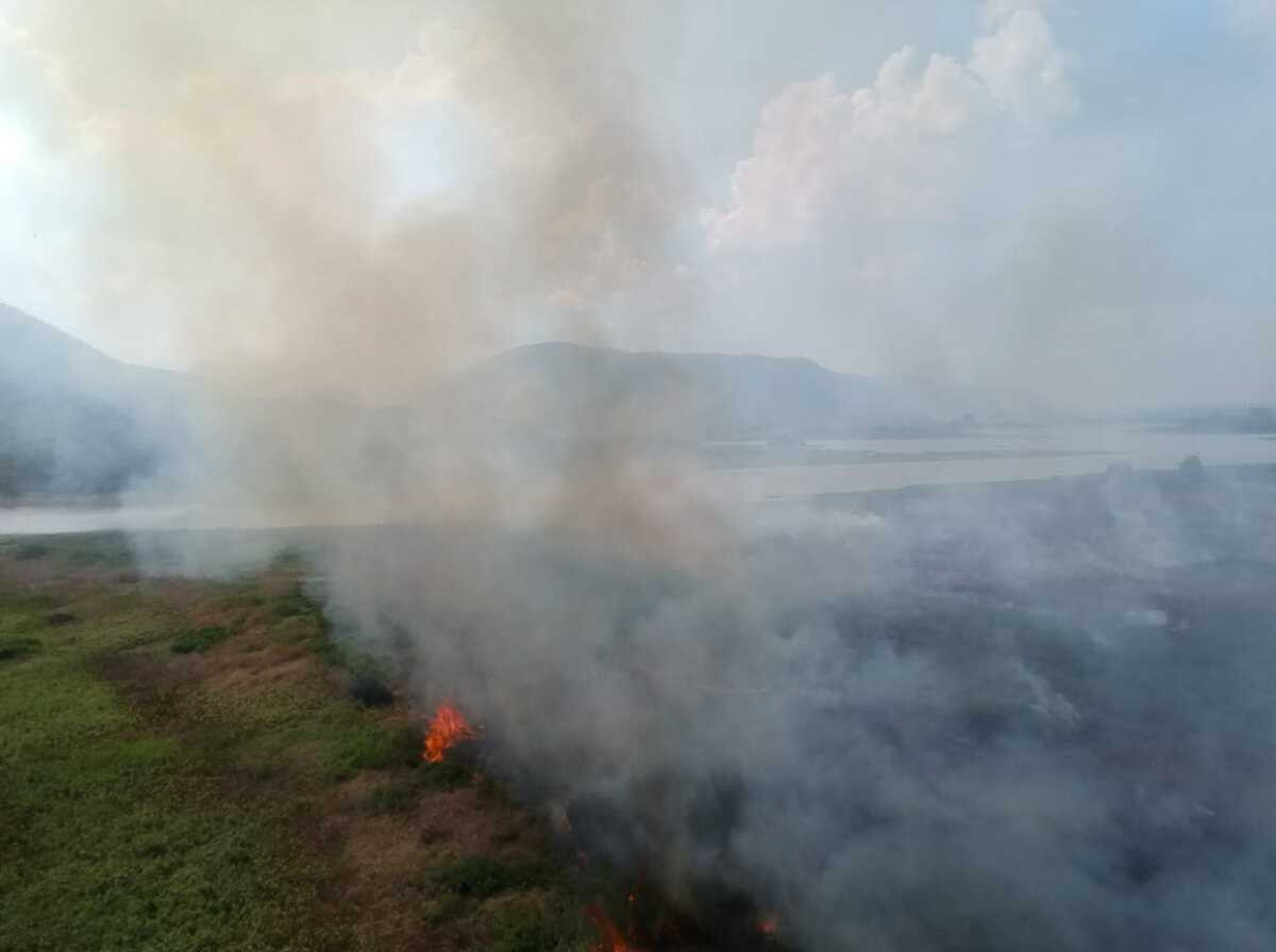 Governo se prepara para atuação em incêndios na região do Pantanal