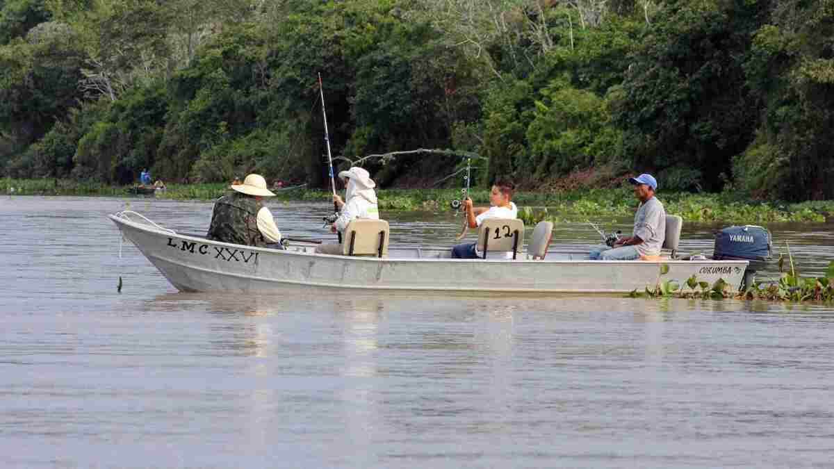 Piracema encerra-se hoje em MS