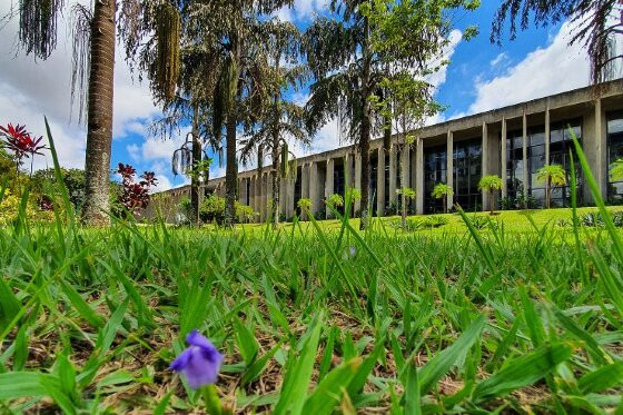 Alems terá audiência pública, sessões e reunião da CCJR