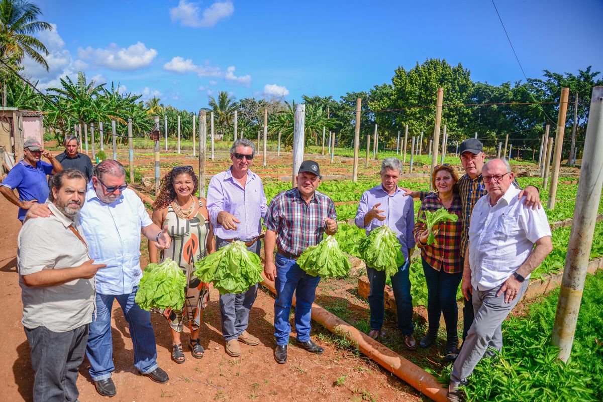Cooperação científica do Brasil vai fortalecer agricultura urbana, suburbana e familiar de Cuba
