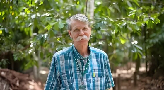 Entenda como o mau uso da floresta compromete a vida no planeta