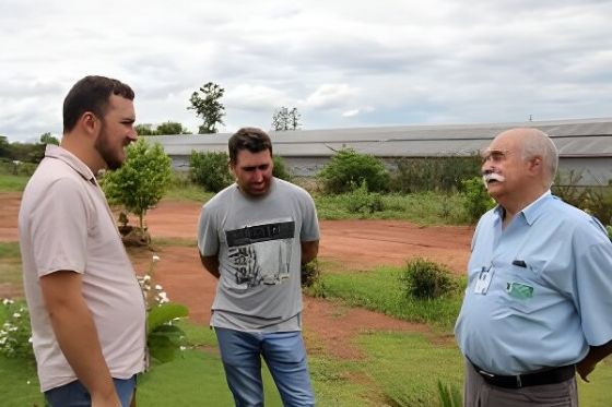 Programa Frango Vida modernizou avicultura em Sidrolândia