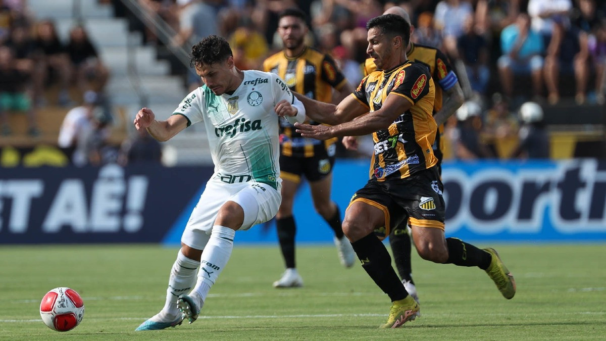 Novorizontino Palmeiras