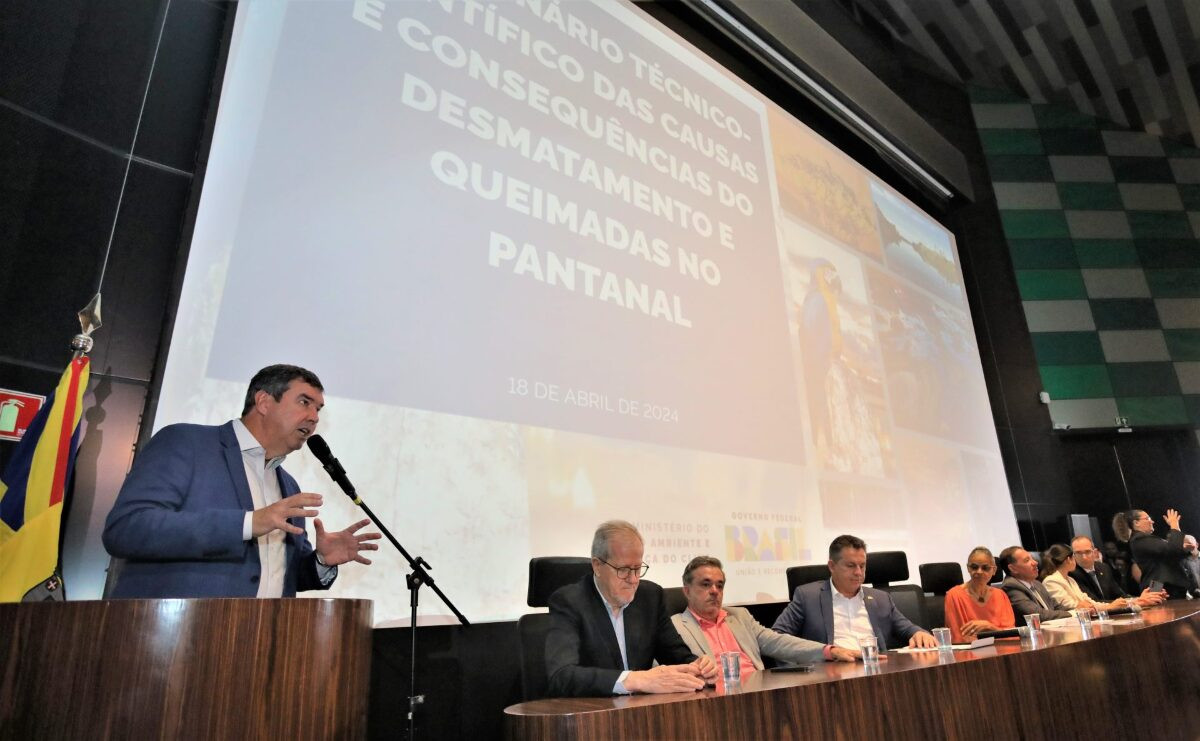 Estados formalização ação em conjunto para ampliar proteção do Pantanal 